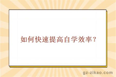 如何快速提高网站收录 提升网站快速收录的解决方法 (如何快速提高免疫力)