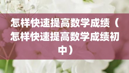 如何快速提高网站收录 提升网站快速收录的解决方法 (如何快速提高)