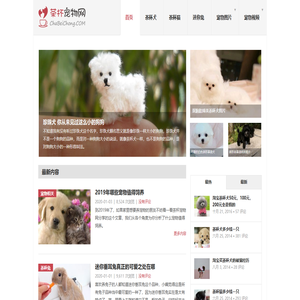 北京迪安帝科技有限公司