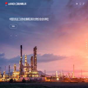 山东海王化工股份有限公司 山东海王化工股份有限公司