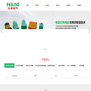 浙江飞凌电气有限公司 - 浙江飞凌电气有限公司 -