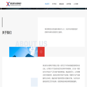 湖北新为光微电子有限公司 湖北新为光微电子有限公司