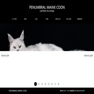 半影缅因猫舍 | PENUMBRAL MAINE COON 半影缅因猫舍 | PENUMBRAL MAINE COON