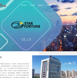 星中集团