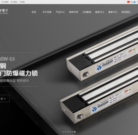 意林电锁-全球领先的电锁器材制造商及著名安防品牌