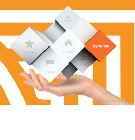 Dynamic Electronics  超颖电子