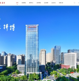 合肥市建设投资控股（集团）有限公司