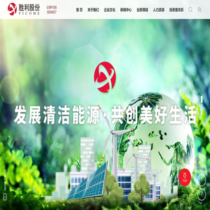 山东胜利股份有限公司 山东胜利股份有限公司