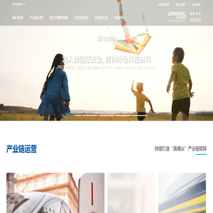 中仑新材料股份有限公司