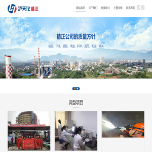 四川泸天化精正技术检测有限公司_四川泸天化精正技术检测有限公司