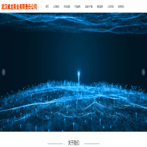 武汉威龙泵业有限责任公司