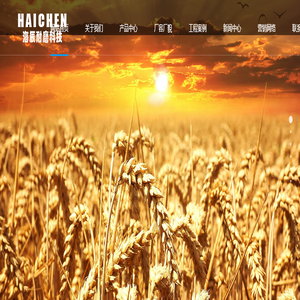 镇江海辰耐磨科技有限公司