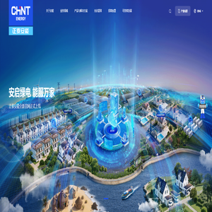 正泰安能数字能源（浙江）股份有限公司