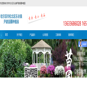 哈尔滨市松北区乐业镇尹建苗圃种植园 哈尔滨市松北区乐业镇尹建苗圃种植园